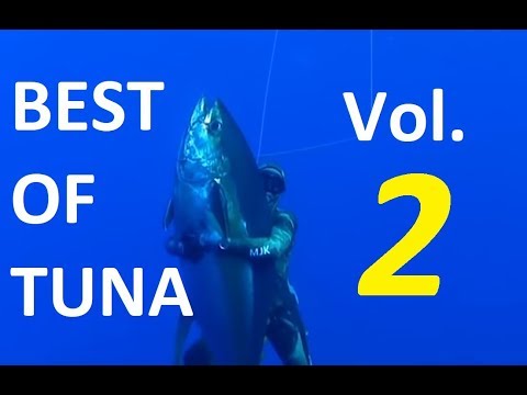 BEST TUNA SPEARFISHING - PART 2 - BEST SHOTS AND AMAZING SCENES