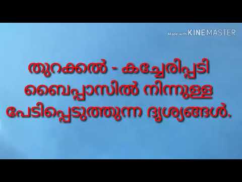 Dog attack, തെരുവ് നായ് ശല്യം,