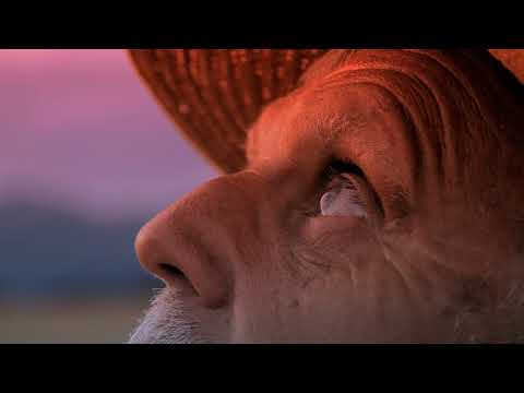 Stoneface & Terminal with Robert Nickson - From The Sun