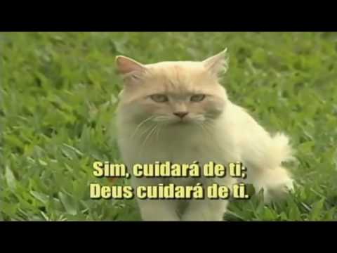 Hinário Adventista 373 - Deus Cuidará de Ti - HD