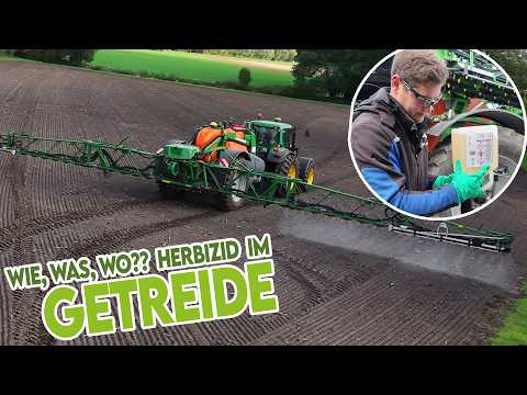 Wie behandeln wir das Wintergetreide? Wie ist es aufgelaufen & was macht der 100-Tage-Mais?