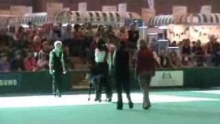 Tyler Crufts 2010