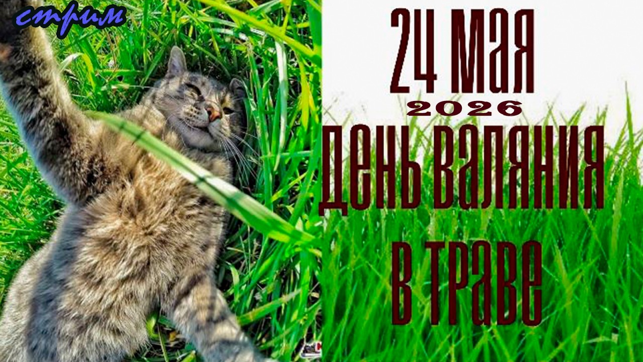 Пятничный ночной стрим (22.05.2026) День валяния в траве