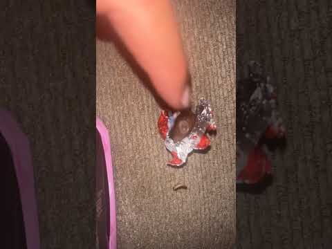 A bug in my hersheys bag