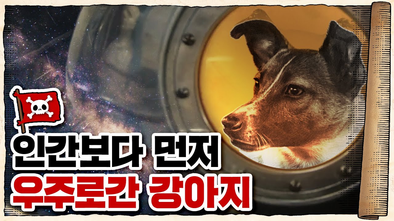 💀 로켓 타고 우주로 간 댕댕이들...😢🐕 / 💀 미국과 소련의 우주경쟁과 동물실험