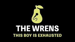 The Wrens - This Boy is Exhausted (Karaoke)