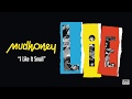Mudhoney - I Like It Small