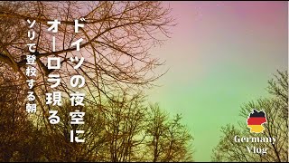 【 ドイツ暮らし 🇩🇪】雪国になったハンブルク。息子とソリ、そして一夜限りのオーロラの記憶