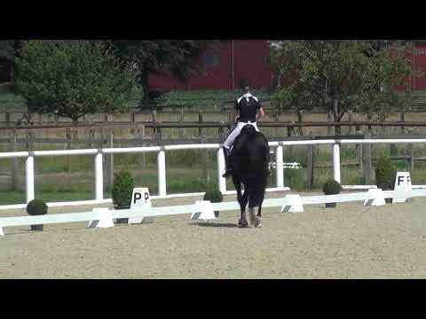 TOTAL HOPE & Isabel Freese - 1. WM-Sichtung 2019