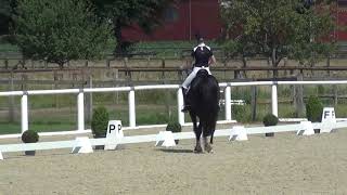 Video von Total Hope OLD