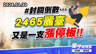 【量子戰情室】#陳武傑0130 #封關倒數…2465麗臺 又是一支漲停板!! (圖)