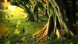 ใบไม้ร่วง