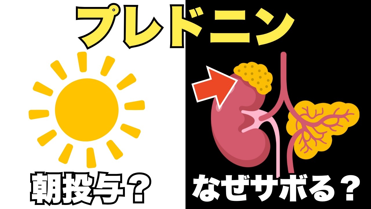 【薬剤師解説】ステロイド投与は朝が良い理由とは？体内リズムと『副腎クリーゼ』を防ぐ観察ポイント