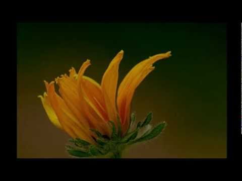 Promo Intorsura Buzaului si imprejurimi.