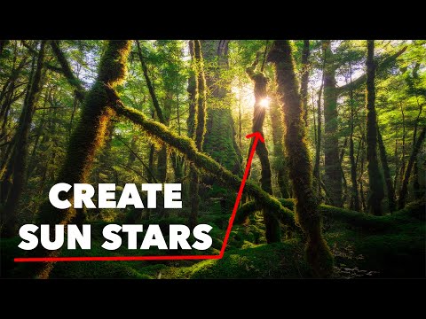 How to Create a Sunstar in YOUR Photos!