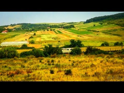 LIVE Train Chase: CFR Marfa Freight Train on M412 (Zalau Nord - Guruslau hc.), Salaj County