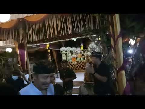 Menghibur di resepsinya komir Lagu Bocok care CELULUK (Tastrawika feat Gung Kemil)