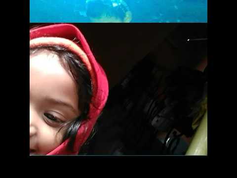 Viva video Rimika biswas