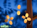 Sesame Street 10 Butterfly