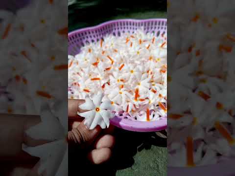 শিউলি 🤍🧡✨ #nature #highlights #love #sheuli