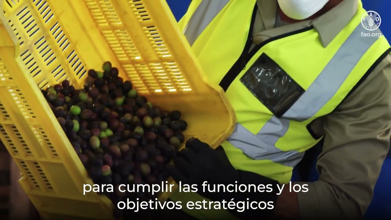 Presentación del Campus de Sanidad Vegetal de la CIPF_es