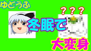 【重大報告】皆様にお話しなければならないことがあります【ゆっくり】