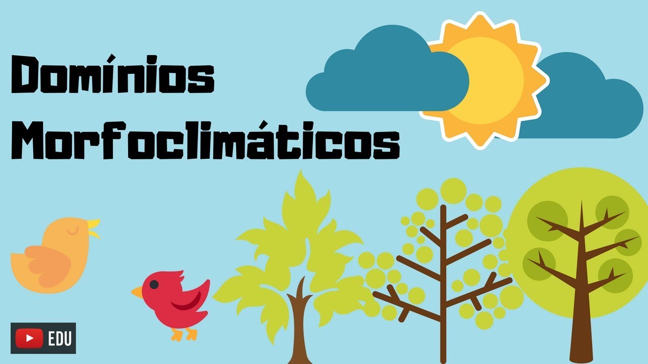 GEOGRAFIA -Domínios morfoclimáticos- Resumo