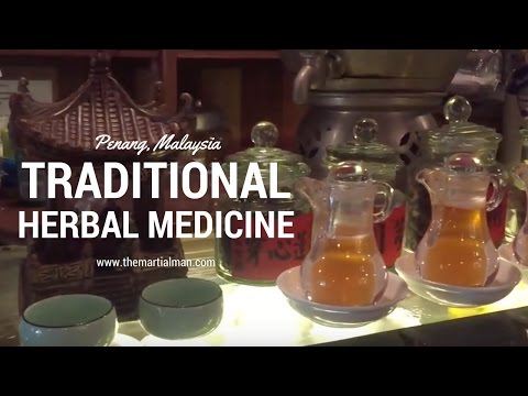 Traditional Herbal Medicine In Penang, Malaysia | The Martial Man
