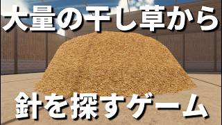 【Find The Needle】4,800,000本の藁の中から針を探すゲームが神ゲーだった件。