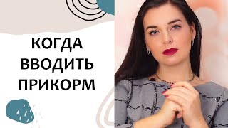Ссылка