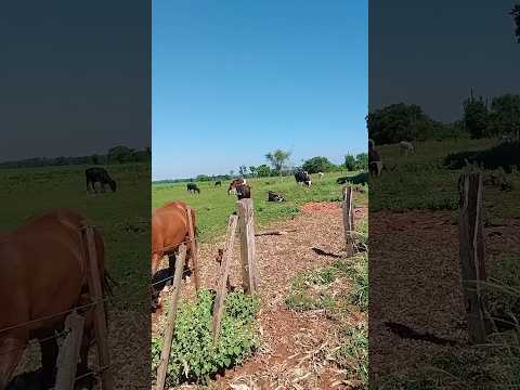 05/12/25, Carumbé, Itaporã, MS.#viagem #turismo #matogrossodosul #carumbé #itaporã