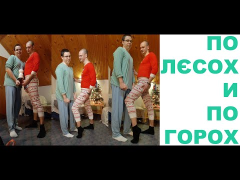 Stupidenti - Po ljesoh i po horoh