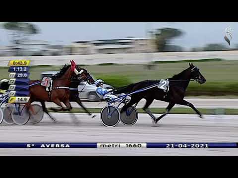Aversa trotto 21 Aprile 2021 - 5° Corsa