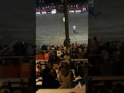 Bull riding rodeo in Miami