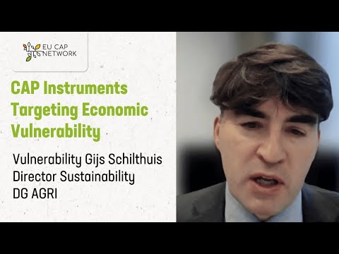 CAP Instruments Targeting Economic Vulnerability Gijs Schilthuis Director Sustainability DG AGRI, EC