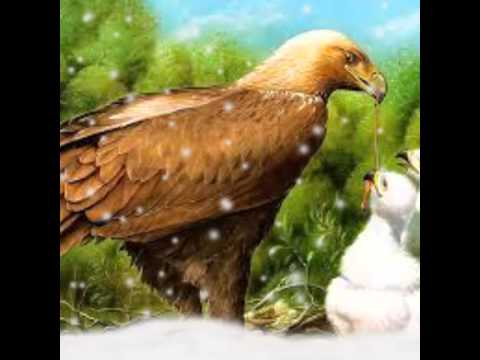 Almis marmoucha اويش ثبظ العزازيث