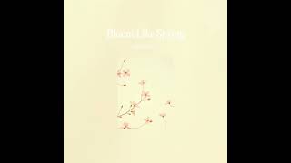 Bloom Like Spring