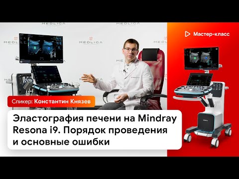 Эластография печени на Mindray Resona i9: STE (Sound Touch Elastography) и STQ (Sound Touch Quantification) Эластография печени на Mindray Resona i9: STE (Sound Touch Elastography) и STQ (Sound Touch Quantification)