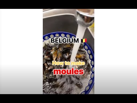 Moules, the national dish of Belgium 🇧🇪