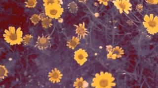 Cult Of Luna - Marching To The Heartbeats