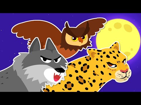 [Sing Along] Hunters in the Night | “Ah-ooh~! It’s our world!” | Animal Song for kids ★ TidiKids