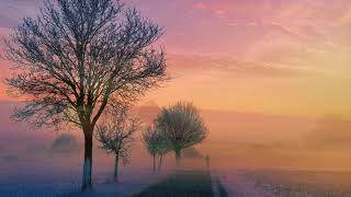 Ace of Sorrow- Brown and Dana (슬픔의 에이스- 브라운 &amp; 도나)가사 해석