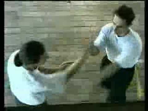 The Way of the Wing Chun Kung-Fu by Didier Beddar