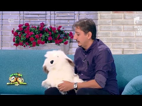 Ventrilocul Eduard Sandu şi-a luat câine de la iUmor