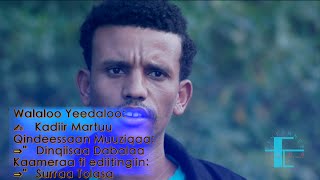 Kadir Martu: Rakkachuuf hin uumamnee *New Oromo Muisic 2016 #OromoProtests