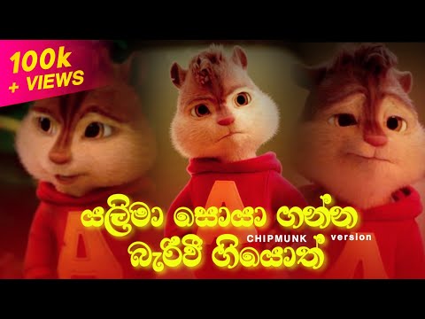 Yalima Soya Ganna (යලිමා සොයා ගන්න බැරිවී ගියොත්) | Chipmunk Version | Lyrics Video | Visha Recodz