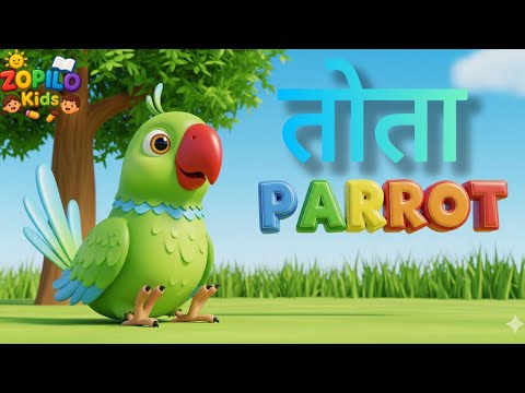 20 pakshiyon ke nam English me ( 20 पक्षियों के नाम इंग्लिश टू हिन्दी) Zopilo Kids 