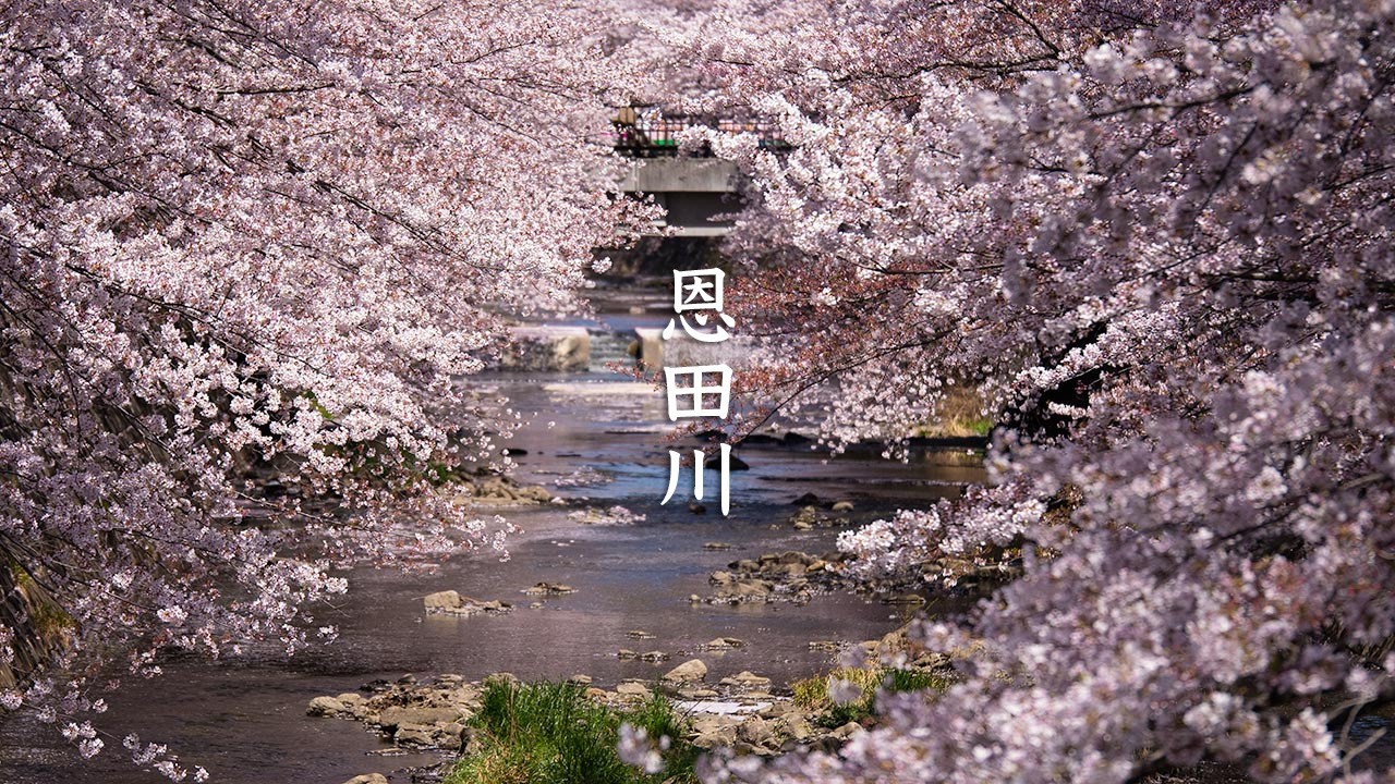 [Sakura] Ondagawa