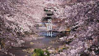 Ondagawa video preview