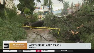 Toppled tree causes car to crash into apartment complex in Van Nuys